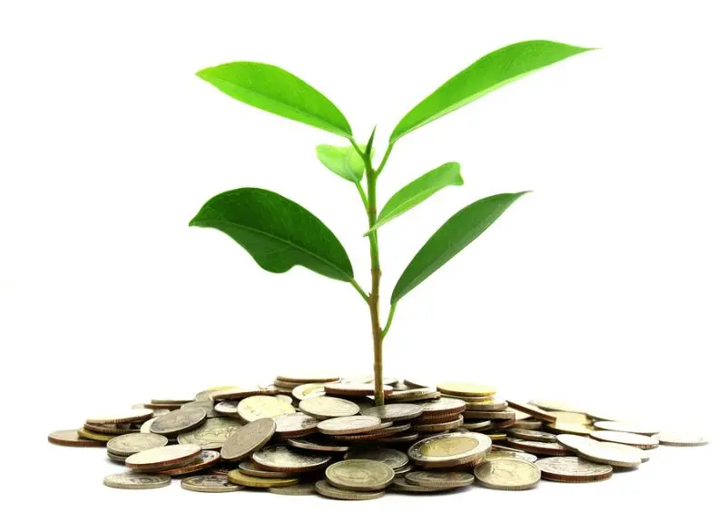 Инвестиции SKF в сохранение экологии | Свежие новости в Челябинске